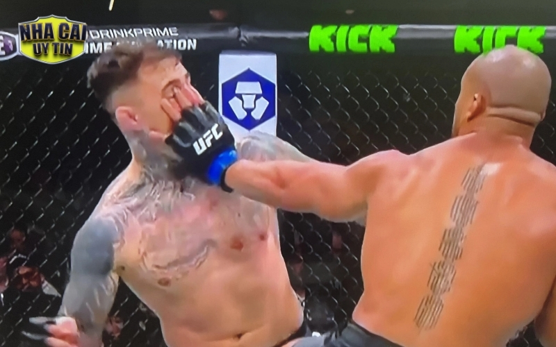 Mẹo Cá Cược UFC Hiệu Quả