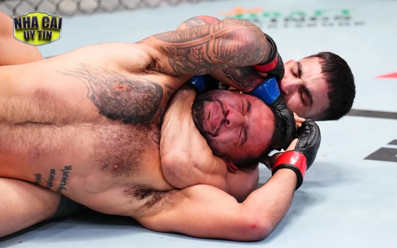 Tin Cá Cược UFC: Các Trận Quyết Đấu Đang Được Quan Tâm