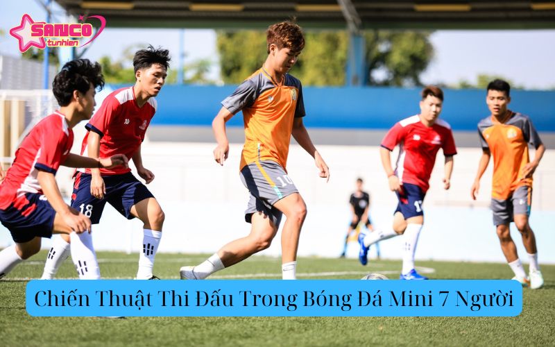 Chiến Thuật Thi Đấu Hiệu Quả Trong Bóng Đá Mini 7 Người