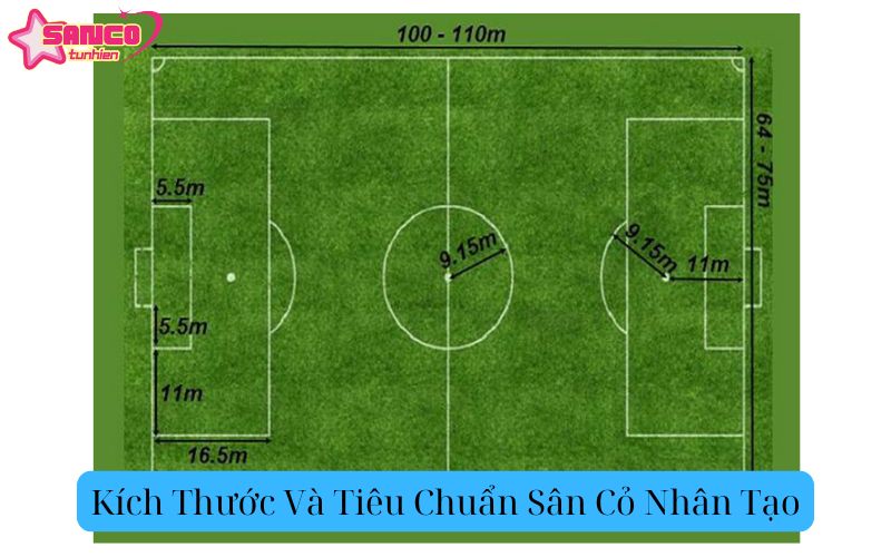 Kích Thước Và Tiêu Chuẩn Sân Cỏ Nhân Tạo