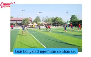 Luật bóng đá 5 người sân cỏ nhân tạo