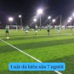Luật đá biên sân 7 người do ủy ban thể dục thể thao ban hành