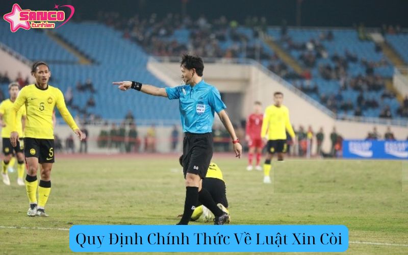 Quy Định Chính Thức Về Luật Xin Còi