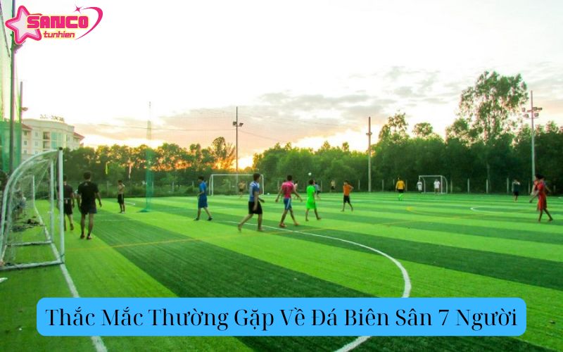 Thắc Mắc Thường Gặp Về Đá Biên Sân 7 Người