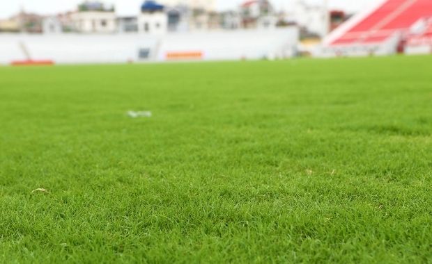 Hình ảnh sân cỏ tự nhiên