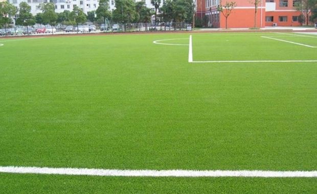 Hình ảnh sân cỏ tự nhiên