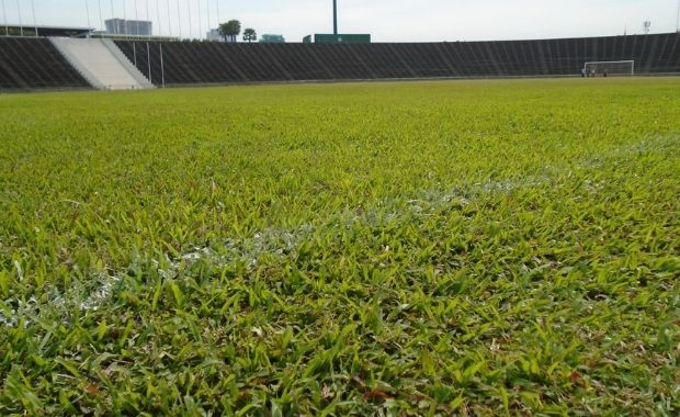Hình ảnh sân cỏ tự nhiên